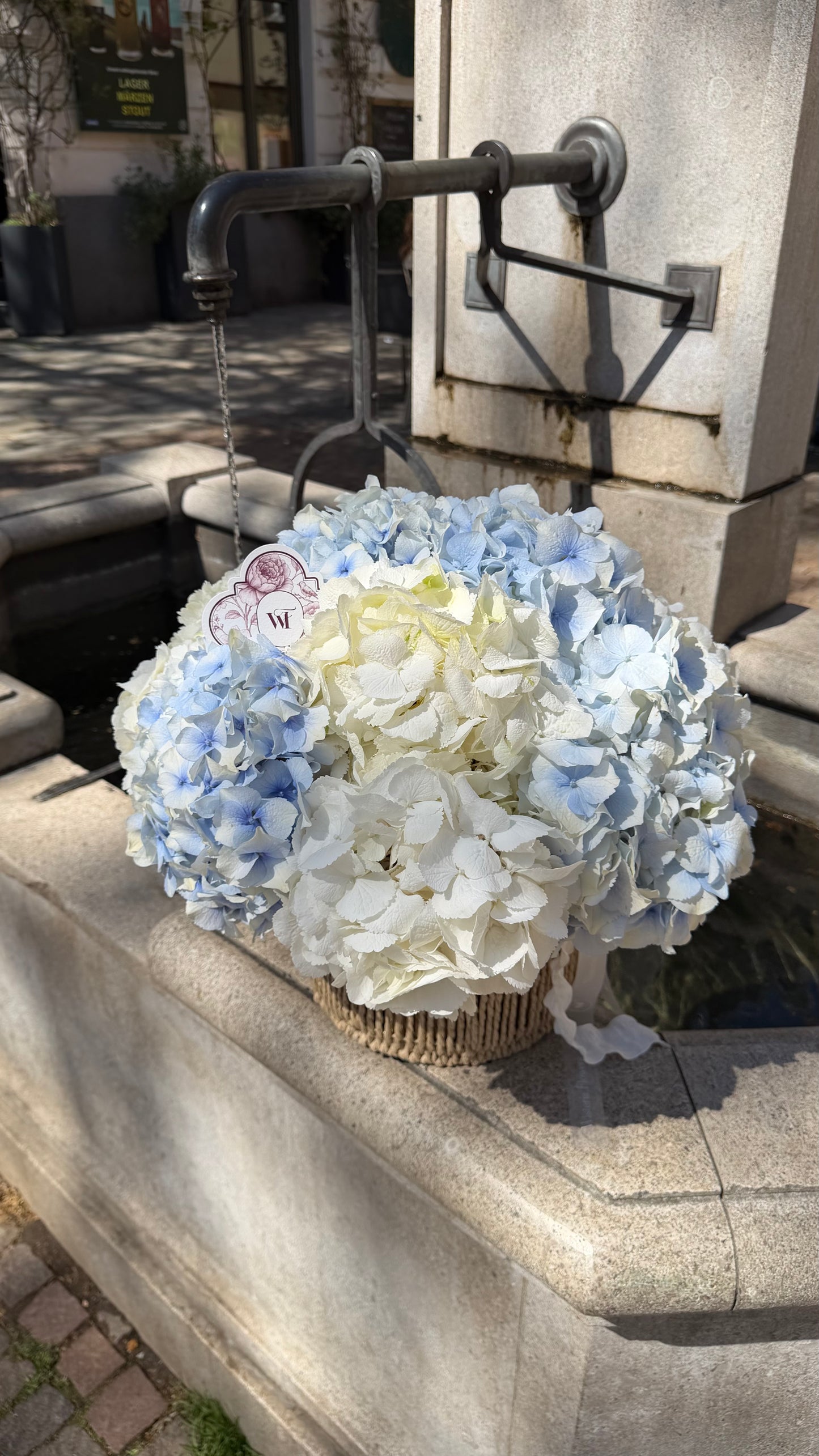 Baby Blue Pop
