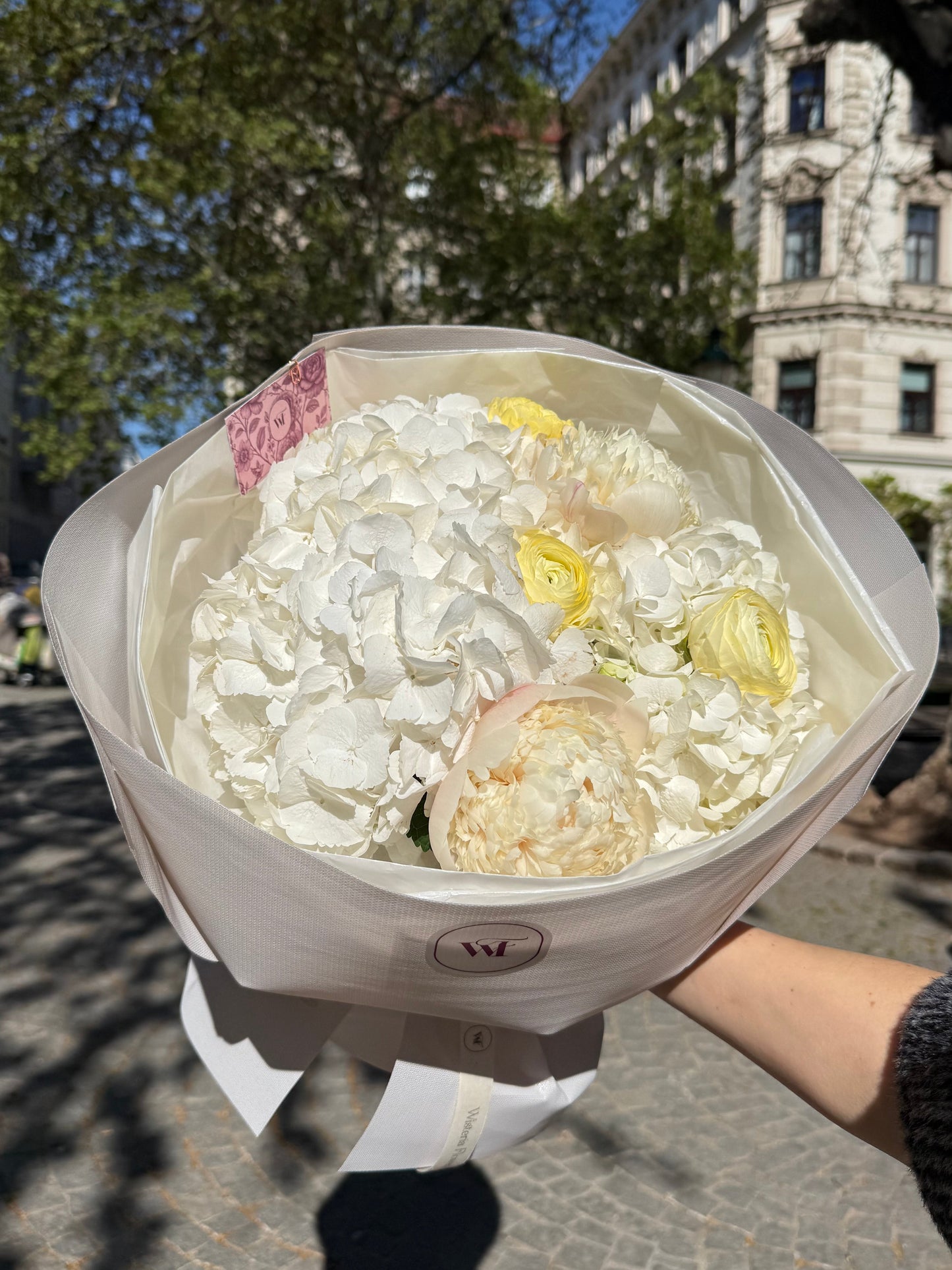 Lemon Zest Symphony