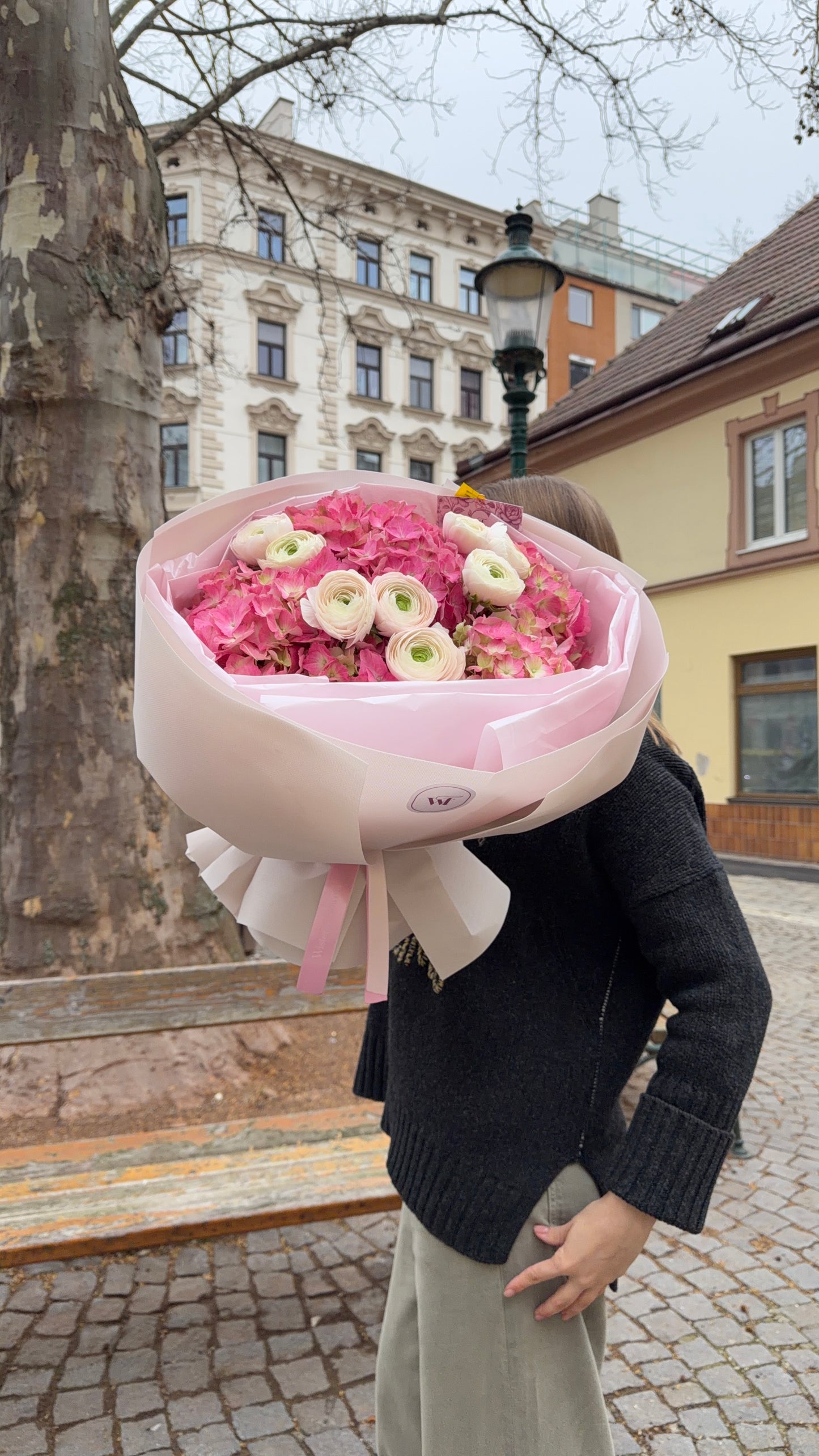 Blush Ranunculus Garden
