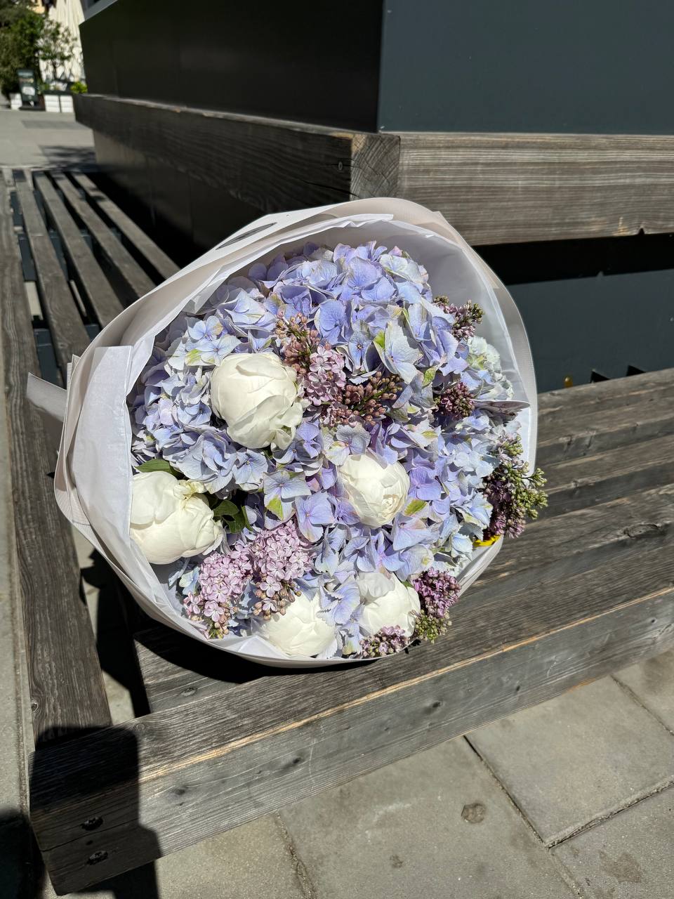 Syringa Tenderness
