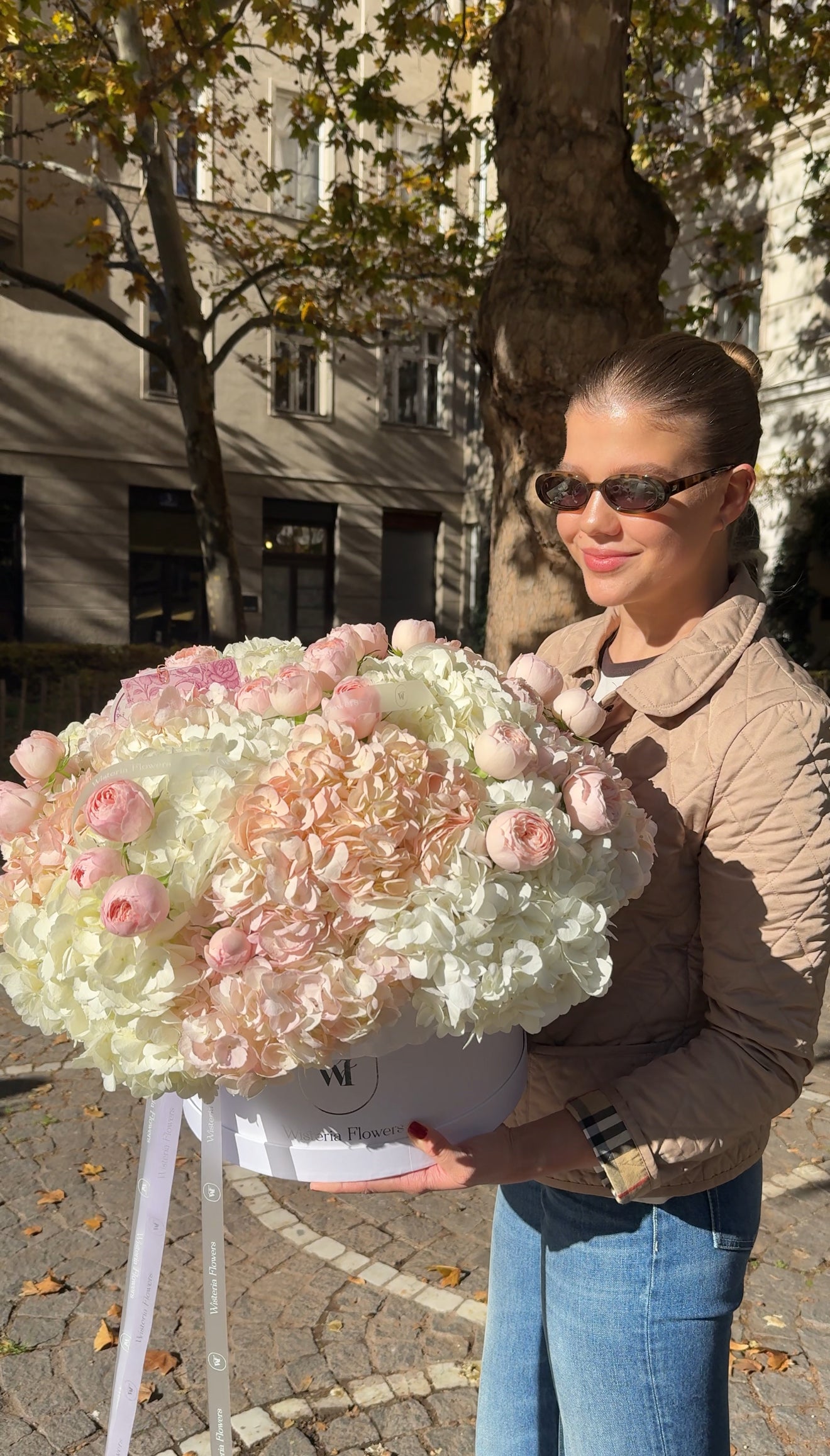 Mansfield Park Cloud