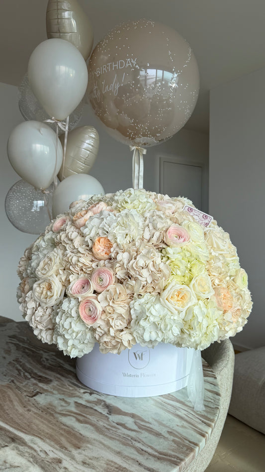 Velvet Champagne Cloud