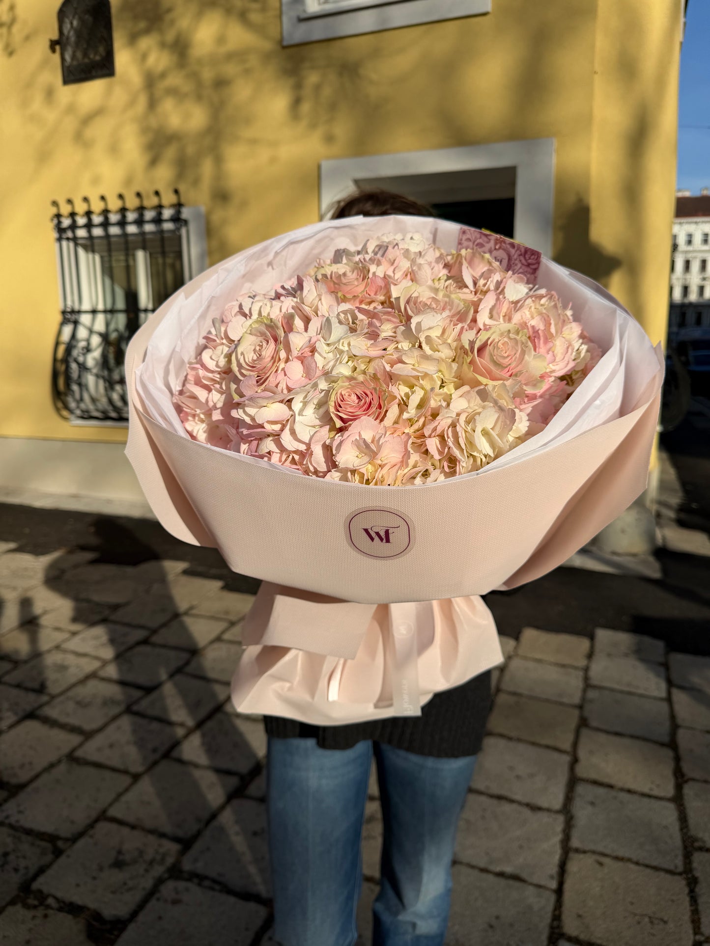 Champagne Hydrangeas