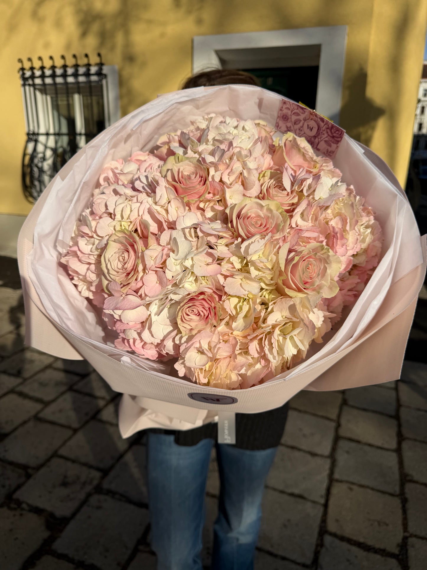 Champagne Hydrangeas