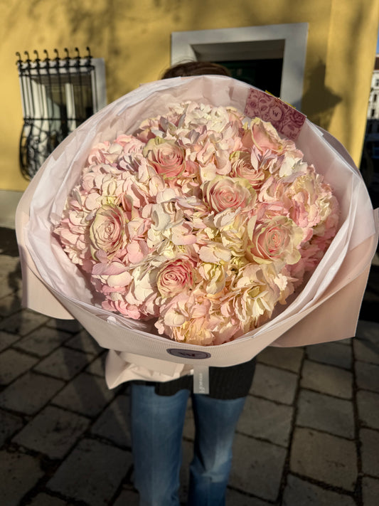 Champagne Hydrangeas