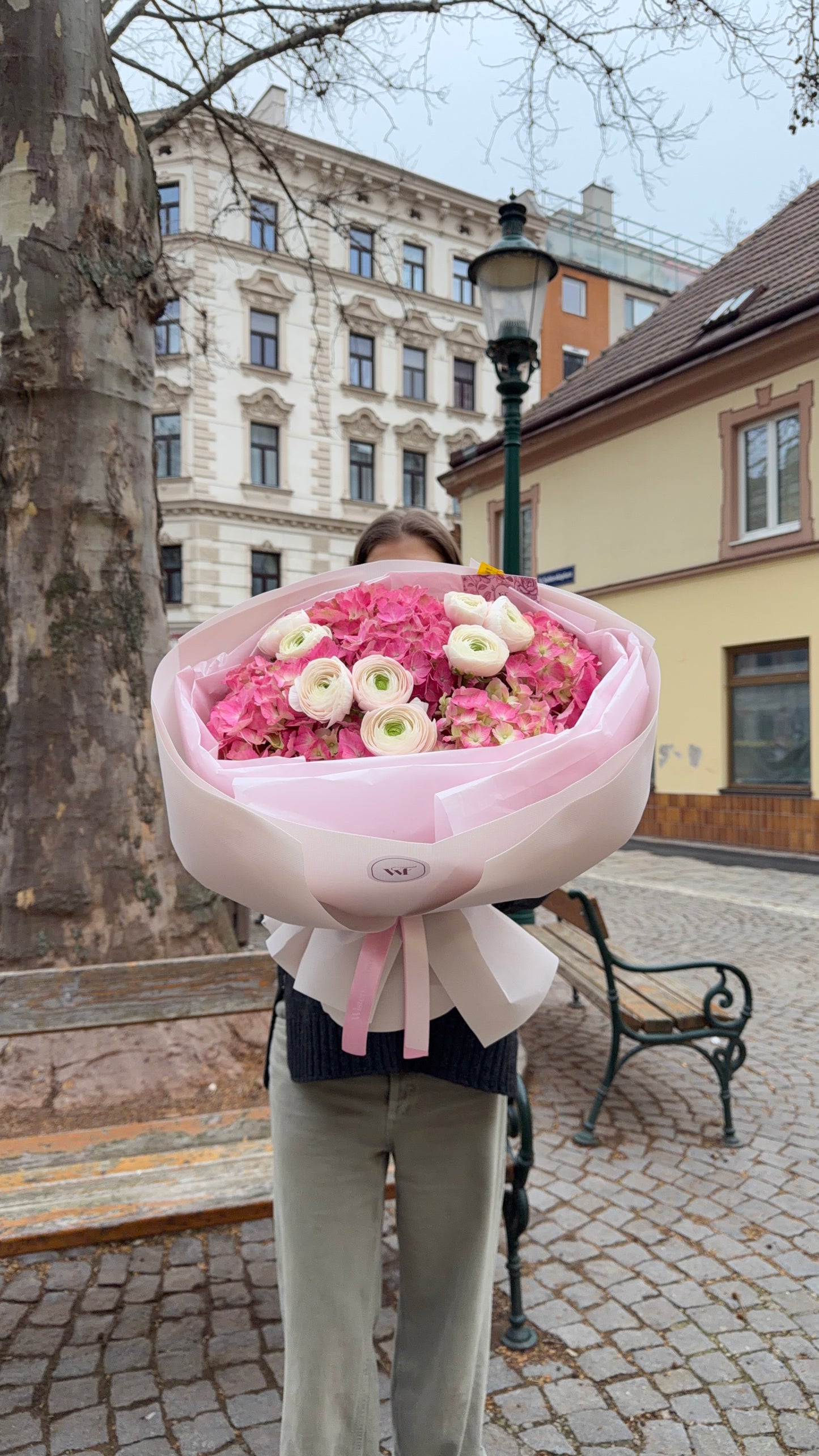 Blush Ranunculus Garden