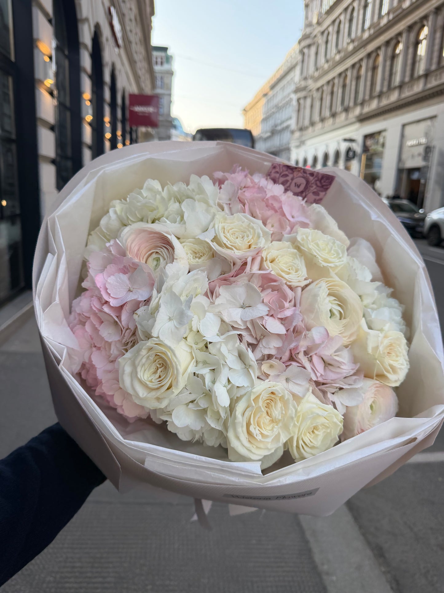 Soft Parisian Bloom