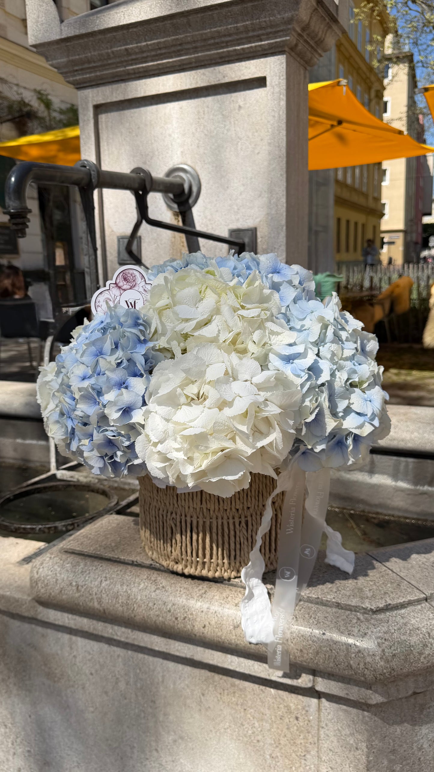 Baby Blue Pop