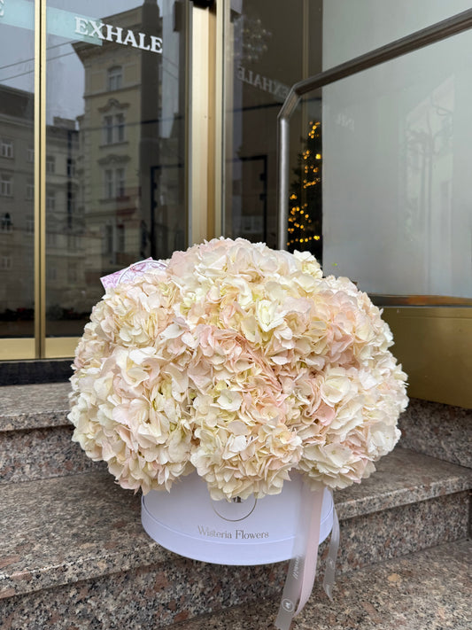 Bridal Pink Cloud
