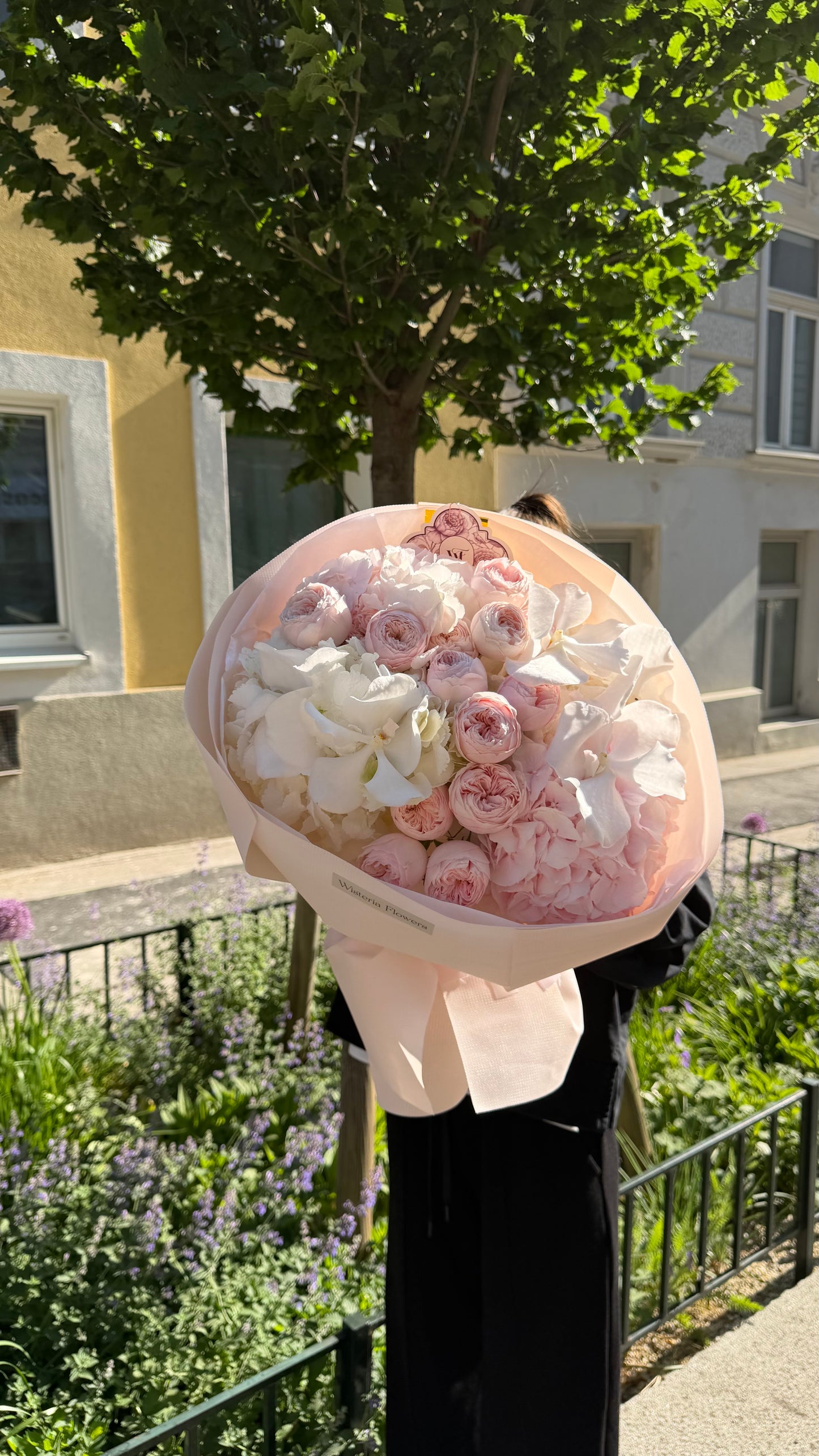 Mansfield Rose Enamel