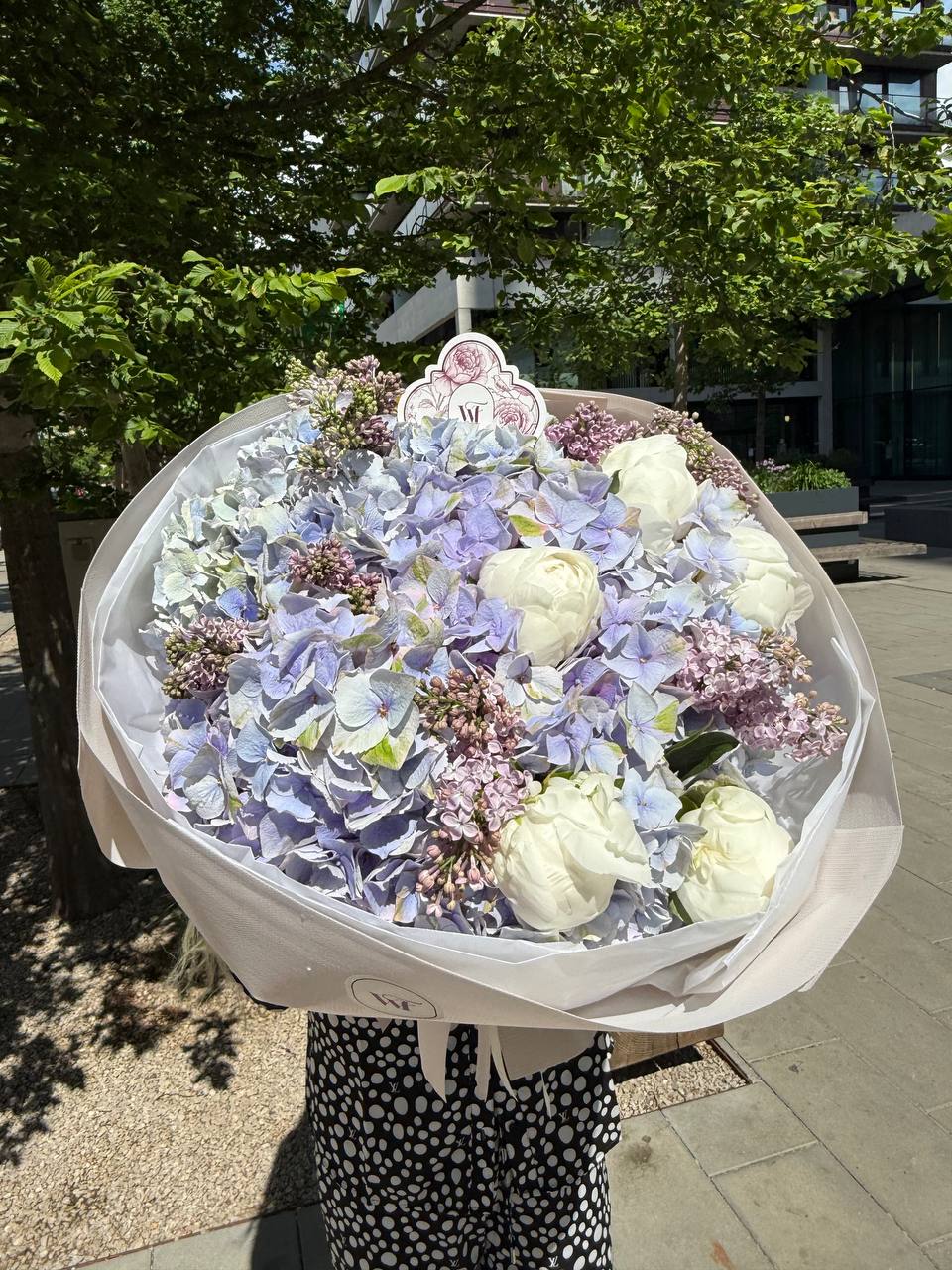Syringa Tenderness