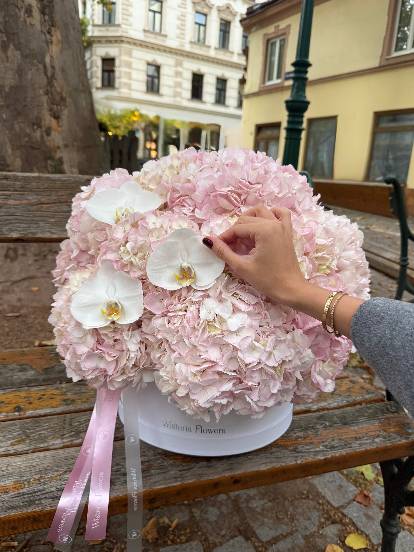 Orchid Hydrangea Cloud