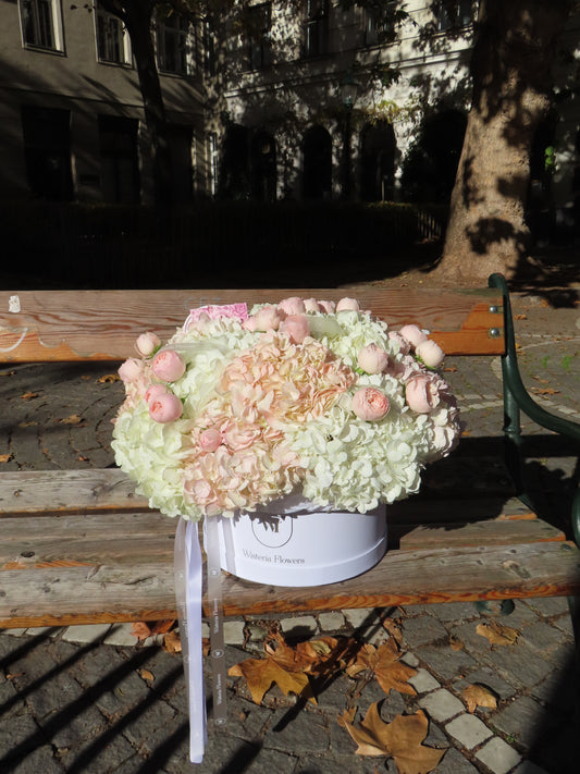 Mansfield Park Cloud