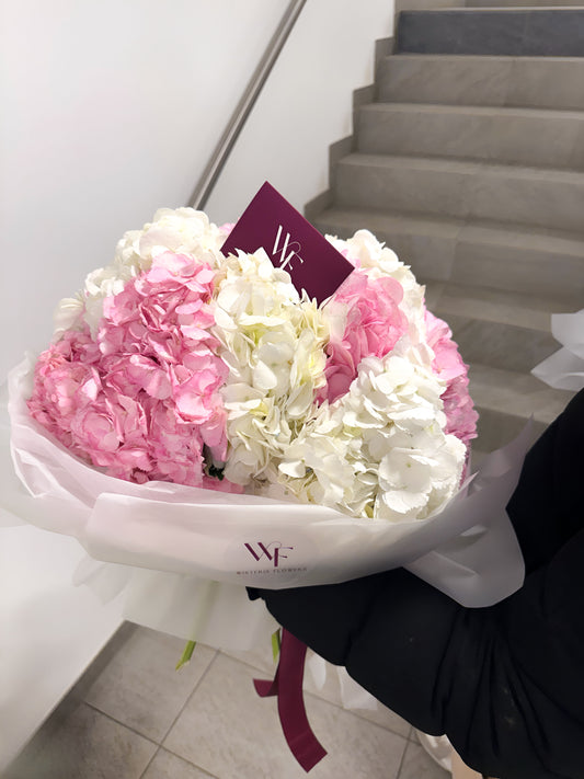 Hydrangea Blossom
