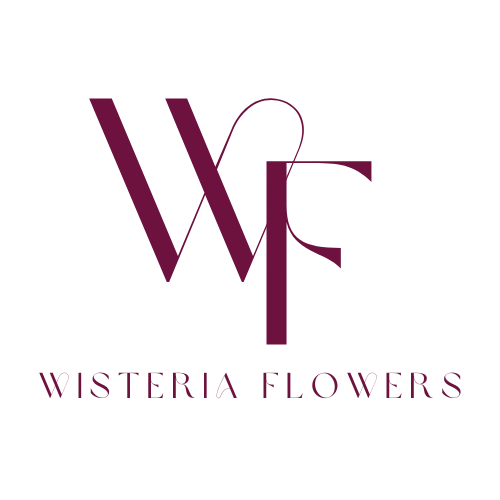 Wisteria Flowers